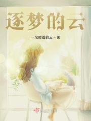 逐梦歌曲是谁唱的