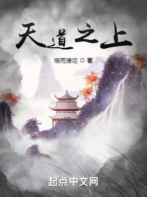 天道之上的境界