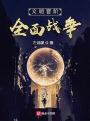 全面战争和文明的区别