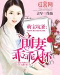 萌宠前妻