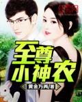 至尊小神农叶凡全文免费阅读