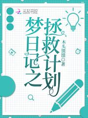 梦日记重制版攻略