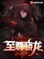 至尊骁龙8处理器是什么