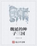 三国魏延之死