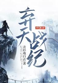 天流战纪破解版