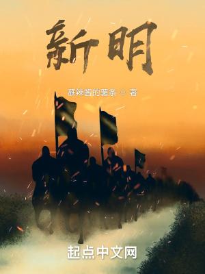 新明主主义革命对象