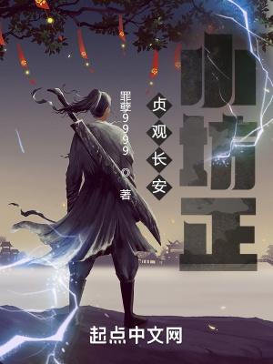 贞观长安小坊正顶点