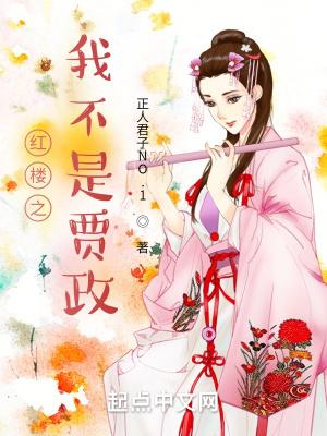 红楼之我不是贾政 正人君子NO.1