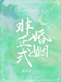 非正式婚姻TXT