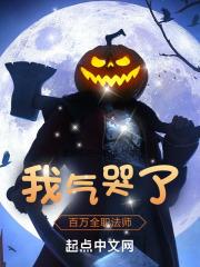 全职法师之凤凰笔趣阁