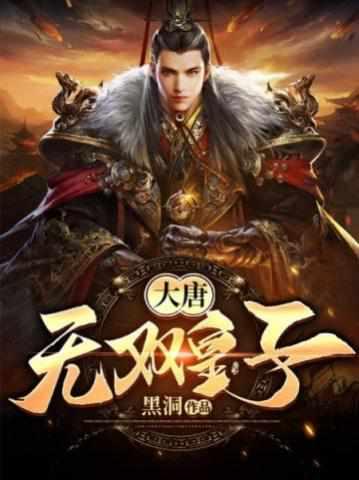 特种兵穿越大唐皇子的