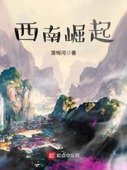 西南崛起的民国