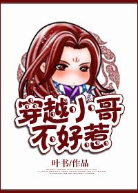 穿越小哥儿的