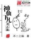 神仙下凡传