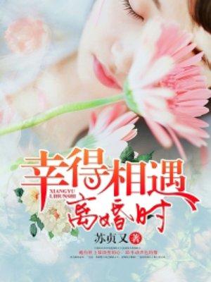 幸得相遇离婚时陆励