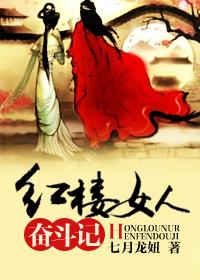 红楼奋斗攻略