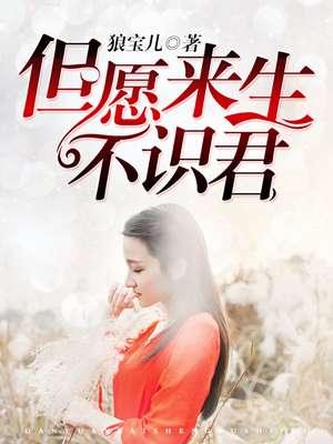 但愿来生不识君的上一句