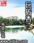 玩转香江txt精校