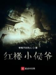 红楼小侯爷起点