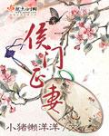 侯门新妻免费阅读