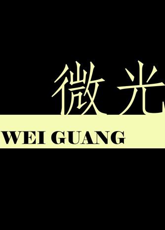 微光电子科技有限公司