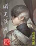 曦光使徒设定