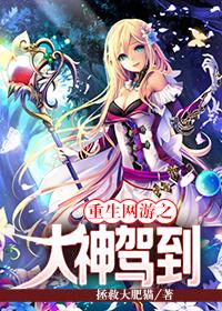 重生网游之大神驾到 拯救大肥猫