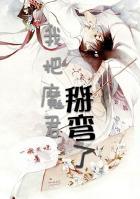 我把魔君训成正道之光