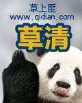 草青茶是什么茶
