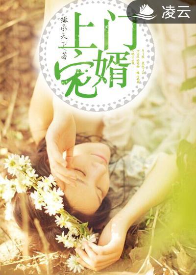 上门赘婿 免费阅读