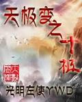 十天极是什么