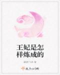 王妃怎么又怀