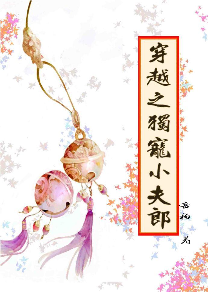 独宠小夫郎全文