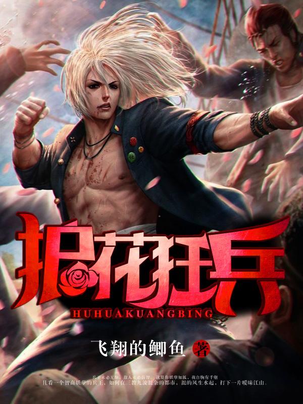 护花狂兵txt
