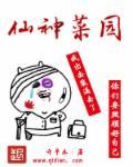 神仙菜是什么菜