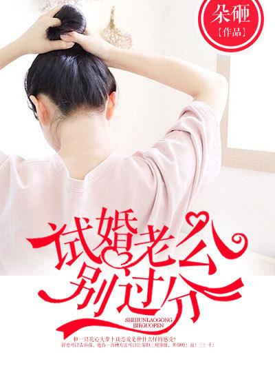免费完结试婚老公要给力