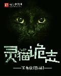 灵猫探案社