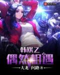 韩娱之偶然相遇百度