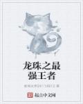 龙珠之最强之战