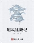 追风逐云by