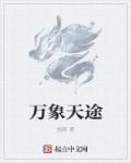 万象天成指导价