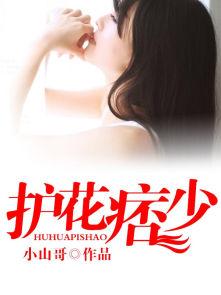 护花冷少全文免费阅读