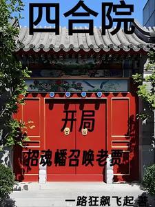 四合院我傻柱开局揭露偷鸡贼