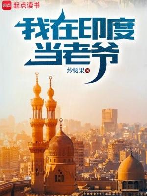 我印度当老爷免费阅读