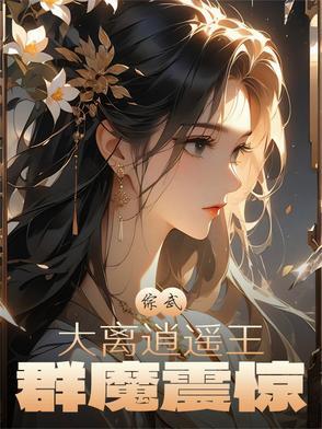 综武大离逍遥王