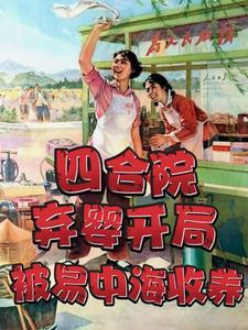 四合院聋老太太