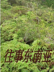刚逃回国的他们亲述缅北恐怖遭遇