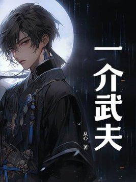 一介武夫打一个数字