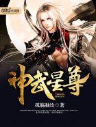 神武星辉能干什么