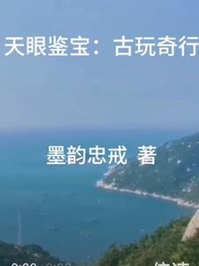 古玩天眼是什么东西